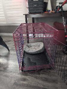 dog cage for sale