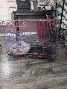 dog cage for sale - Photo 2