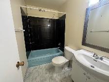 6 Bed 2.5 Bath House For In Fort Richmond - Photo 11