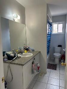 2 bed 2 bath apartment available August 1 2026 - Photo 9