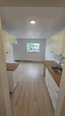 4 1/2 rénové à louer St-Julie - Photo 17