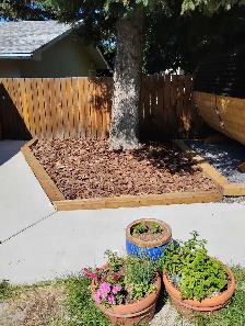 Sauna pad R.V Pad Greenhouse pad cold plunge pad shed pad - Photo 2