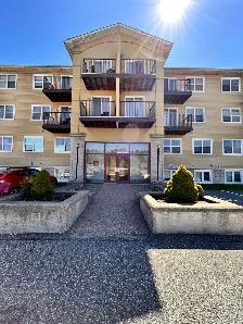 Just reduced the price. 1 BDR  a den, Parking, Elevator, Bus, - Photo 2
