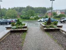 Just reduced the price. 1 BDR  a den, Parking, Elevator, Bus, - Photo 4