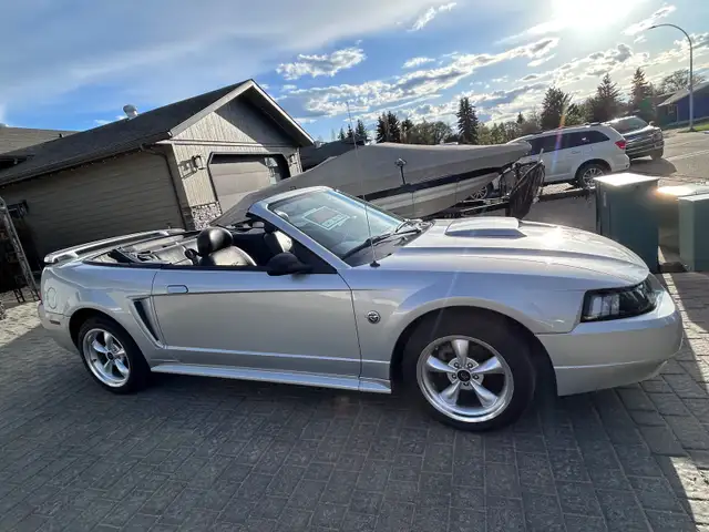 2004 Ford Mustang GT Convertible 40th Anniversary Edition V8 4.6
