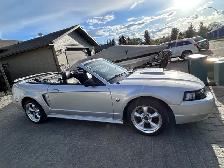 2004 Ford Mustang GT Convertible 40th Anniversary Edition V8 4.6