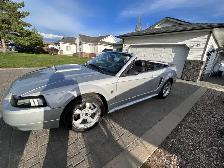 2004 Ford Mustang GT Convertible 40th Anniversary Edition V8 4.6 - Photo 2
