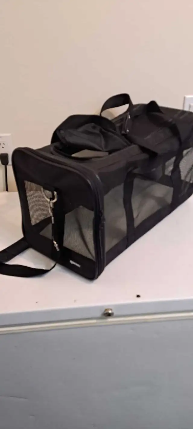 cat carrier