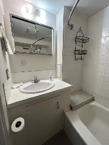U of C -Furnished Private Basement - Photo 5