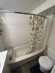 U of C -Furnished Private Basement - Photo 6