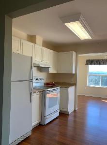 Apartment for rent available August 1st 55  only - Photo 3
