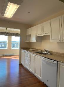 Apartment for rent available August 1st 55  only - Photo 5