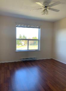 Apartment for rent available August 1st 55  only - Photo 10