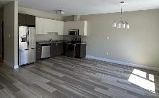1 bedrm, 1 bathrm and a den - $1895 Shiraz Gardens 50  community - Photo 5