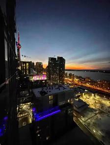 Monthly Stunning LakeView Central Near CNTower & Public Transit - Photo 2