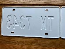 Vintage Movie pair of Plastic (Not Real) Texas licence Plates ! - Photo 5