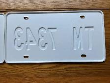 Vintage Movie pair of Plastic (Not Real) Texas licence Plates ! - Photo 6