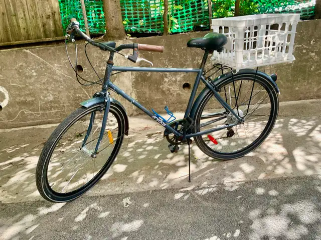 BIKE EVERYDAY ACCES W BASKET