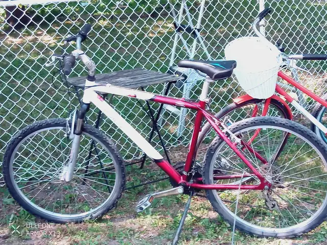 Raleigh Portage Mountain Bike