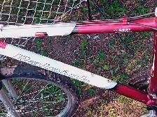 Raleigh Portage Mountain Bike - Photo 2