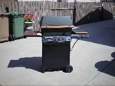 Propane BBQ For Sale