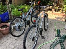 mountain bikes for sale