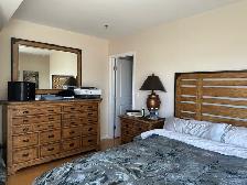 Furnished Executive Condo for Rent River view - Photo 6