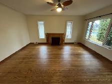 LIVE HERE! Spacious, light filled 2 bed 1 bath upper 1/2 house - Photo 4