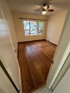 LIVE HERE! Spacious, light filled 2 bed 1 bath upper 1/2 house - Photo 6