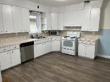 LIVE HERE! Spacious, light filled 2 bed 1 bath upper 1/2 house - Photo 7