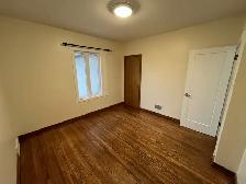 LIVE HERE! Spacious, light filled 2 bed 1 bath upper 1/2 house - Photo 8