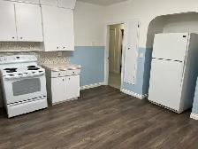 LIVE HERE! Spacious, light filled 2 bed 1 bath upper 1/2 house - Photo 11