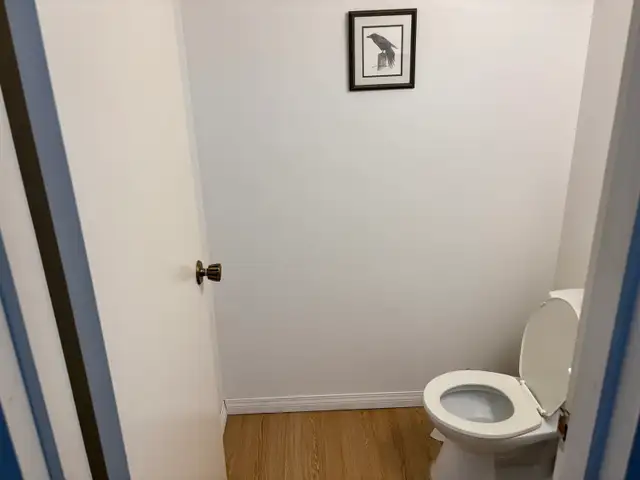 room for rent