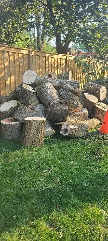 free fire wood