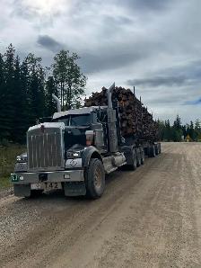 Class 1 Log Truck Driver - Photo 2