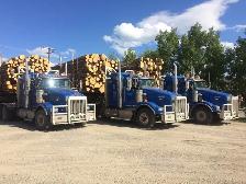 Class 1 Log Truck Driver - Photo 4