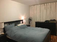 coin rosemont, 30eme avenue 3 1/2 dans bloc appartement LIBRE - Photo 6