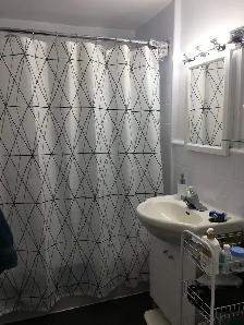 coin rosemont, 30eme avenue 3 1/2 dans bloc appartement LIBRE - Photo 10