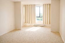 Clean, Comfortable 1 Bedroom Apartment – 1600 Adelaide London - Photo 4