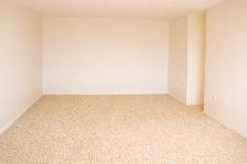 Clean, Comfortable 1 Bedroom Apartment – 1600 Adelaide London - Photo 5