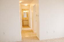 Clean, Comfortable 1 Bedroom Apartment – 1600 Adelaide London - Photo 6