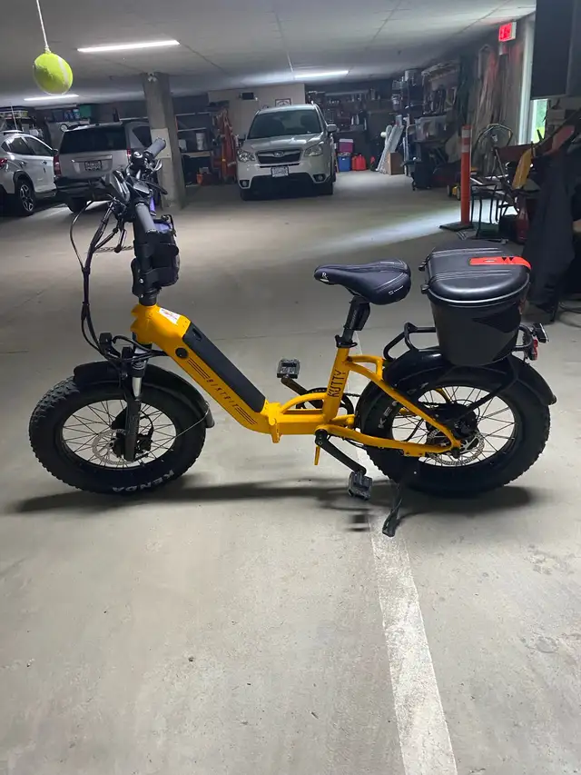 Biktrix Kutty x 2 with only 269 miles and many added accessories