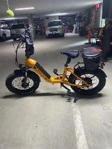 Biktrix Kutty x 2 with only 269 miles and many added accessories