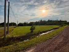3 acre lot - Photo 3