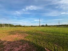 3 acre lot - Photo 6