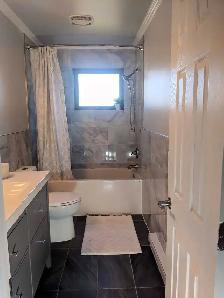 Peinture/ Homme a tout faire - Photo 3