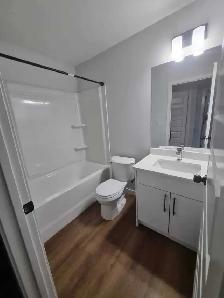 2 bedroom 1 bath basement in Rosewood - Photo 5
