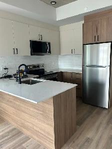 2BD-1bath up for a lease takeover in Hintonburg - Photo 8