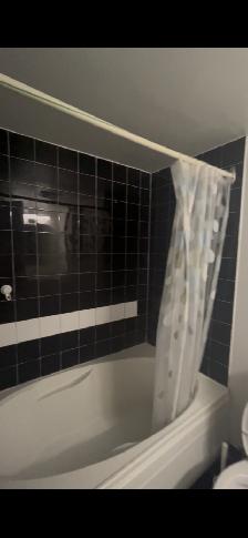 Furnished 1 Den ( window), $2550/month, all incl, Bay/Gerrard - Photo 10