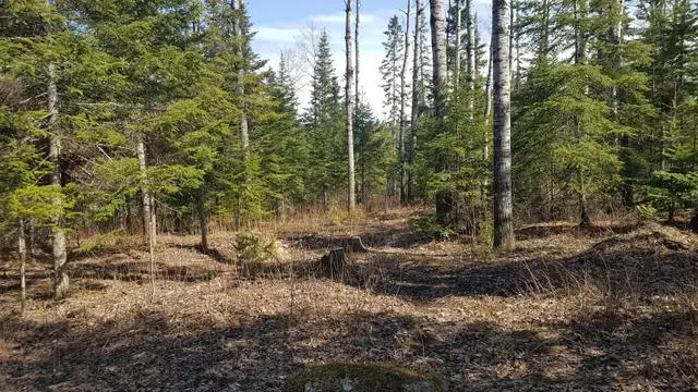 Terrains à louer à roberval !